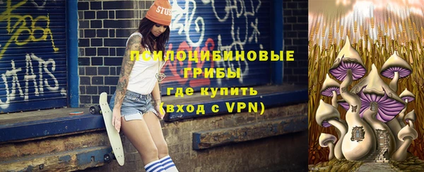 дживик Навашино