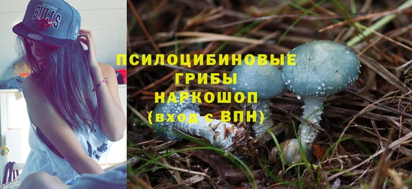 дживик Навашино