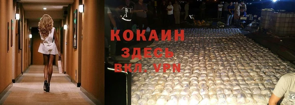 бошки Надым