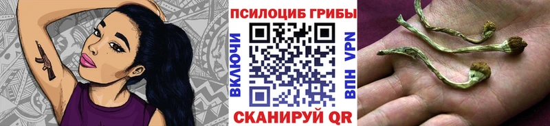 Галлюциногенные грибы Cubensis  Горячеводский 